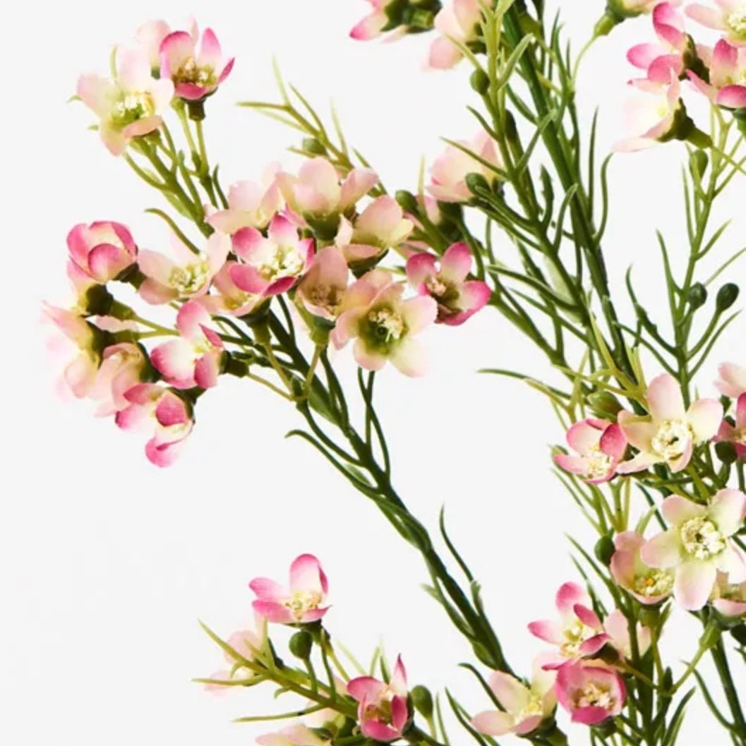 Artificial Wax Flower Spray Jayla in Pink - Australia-wide Shipping ...
