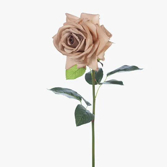 Real Touch Rose Hannah _ Coffee | High-Quality Artificial Flowers | The ...