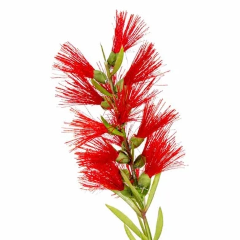artificial-bottlebrush-spray-in-red-high-quality-artificial-flowers