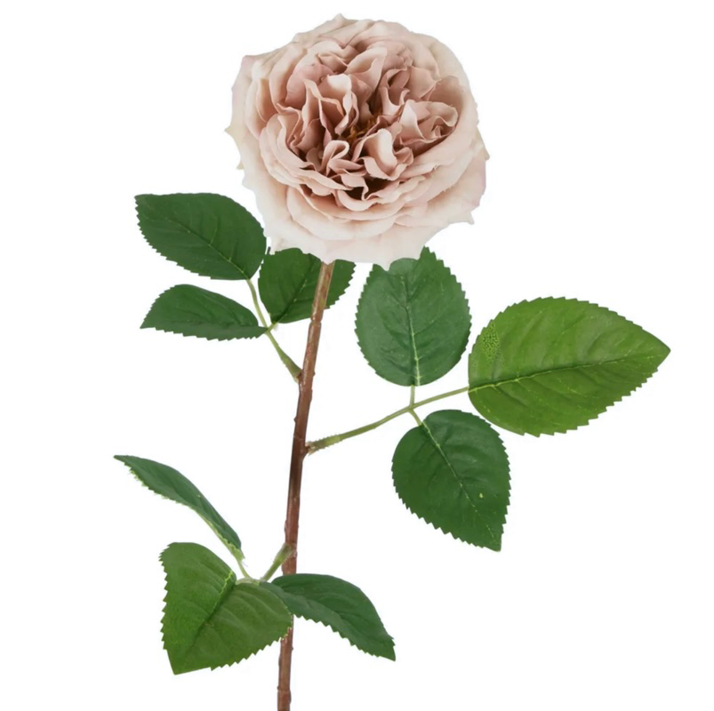 English Rose - Nude | The Artificial Flower Co