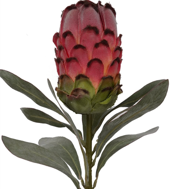 Artificial Protea Stem Pink The Artificial Flower Co